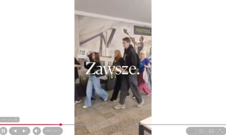 Walizki na kółkach,  pudełka, kosze, skrzynki😀