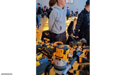 AKADEMIA DEWALT Z NAMI NA KILKA LAT!
